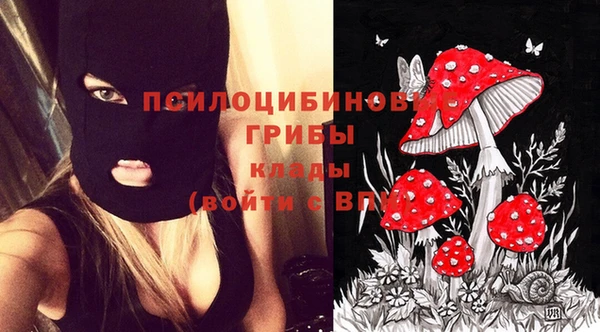 синтетический гашиш Алексин