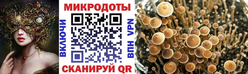 Галлюциногенные грибы GOLDEN TEACHER  купить закладку  Трёхгорный 